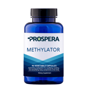 Methylator